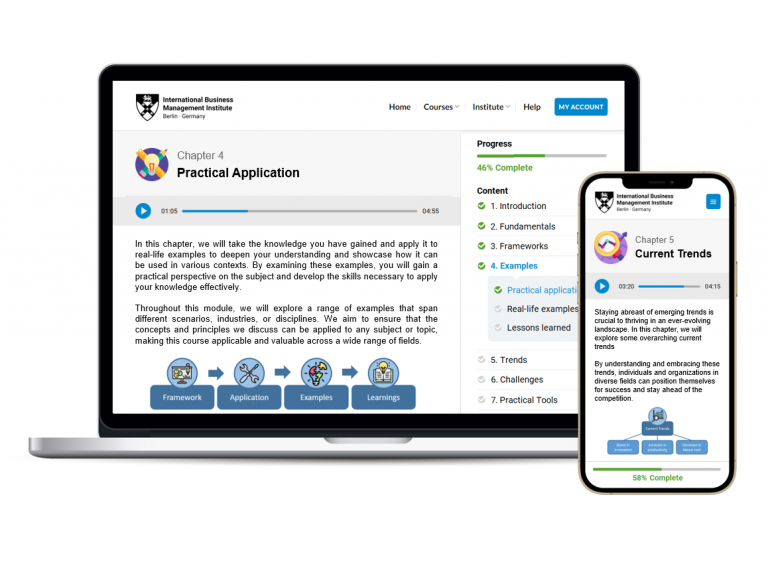 Preview of the IDMI online course interface